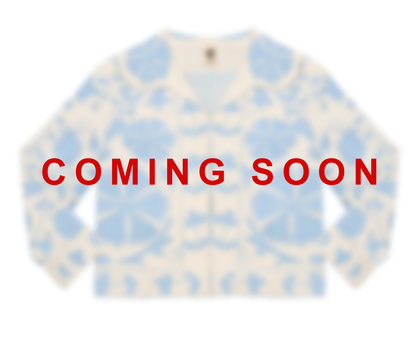 Suzani Jacket